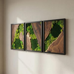 Moss Wall Art Olive Wood Decor, Preserved Greenery Panel, Natural Woodland Sculpture, Rustic Farmhouse Living Room Gift image 3