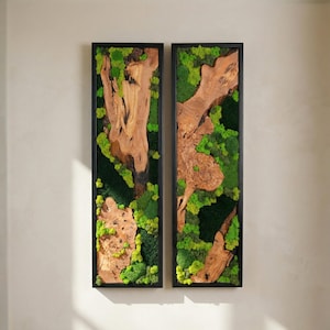 May include: Two vertical wall art pieces with black frames. Each features a natural wood grain design with green moss accents. The wood has a light brown color, and the moss is a vibrant green. The artwork is mounted on a light-colored wall.