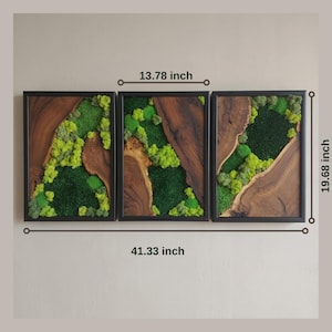 Moss Wall Art Olive Wood Decor, Preserved Greenery Panel, Natural Woodland Sculpture, Rustic Farmhouse Living Room Gift image 9
