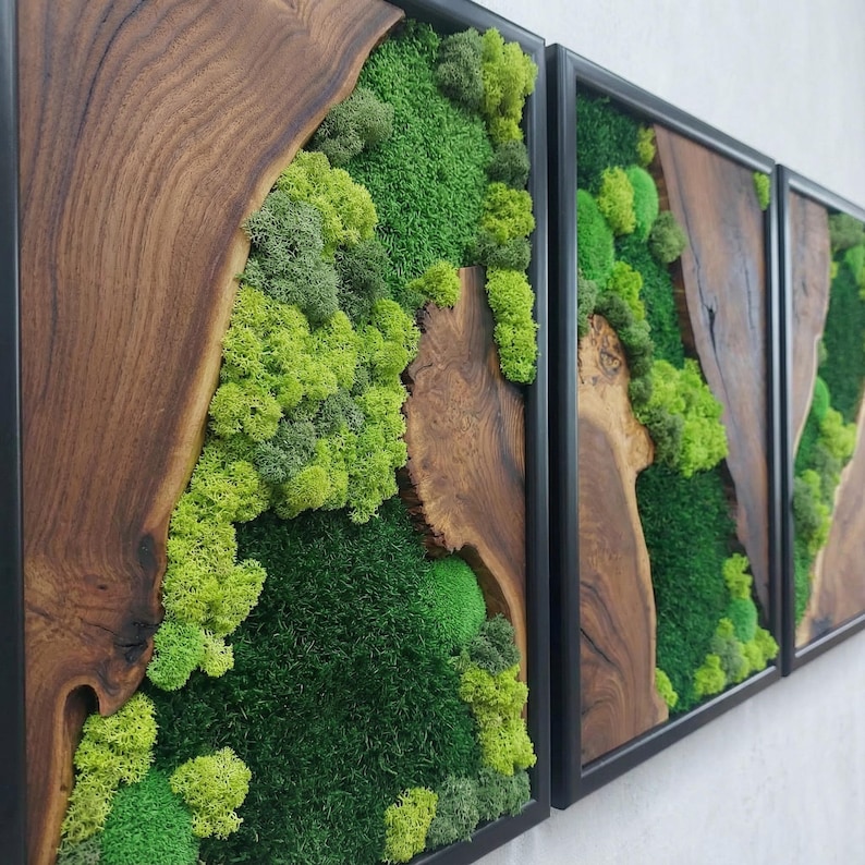 Moss Wall Art Olive Wood Decor, Preserved Greenery Panel, Natural Woodland Sculpture, Rustic Farmhouse Living Room Gift image 4