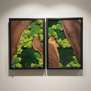 May include: Two framed wall art pieces. Each features a section of natural wood with a dark frame. The wood grain is visible. The center of each frame is filled with a variety of green mosses, creating a natural, textured appearance.