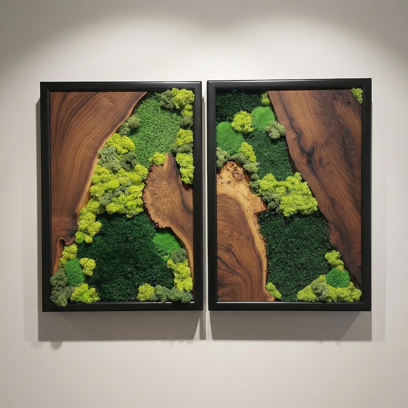 May include: Two framed wall art pieces. Each features a section of natural wood with a dark frame. The wood grain is visible. The center of each frame is filled with a variety of green mosses, creating a natural, textured appearance.