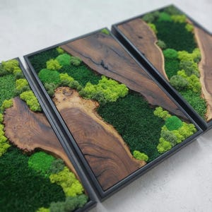 Moss Wall Art Olive Wood Decor, Preserved Greenery Panel, Natural Woodland Sculpture, Rustic Farmhouse Living Room Gift image 6