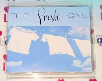 Laundry Fresh Wax Melt Collection, Handmade Ecococo Wax Melts UK