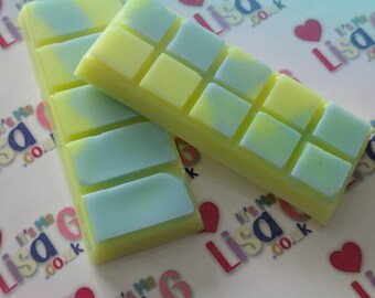 Handmade Ecococo Wax Melts UK, Choose Your Scent Clamshell
