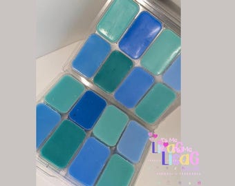 Colección de ceras perfumadas, ceras para después del afeitado para hombre, set de regalo con fragancia intensa para el hogar (Reino Unido)