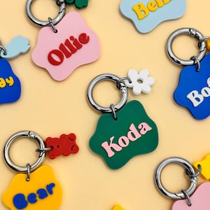 Può includere: Una collezione di portachiavi colorati con nomi come "Ollie" e "Koda." Ogni portachiavi presenta una forma e un colore unici, con un anello in metallo argentato e dettagli decorativi come fiori e orsetti gommosi.