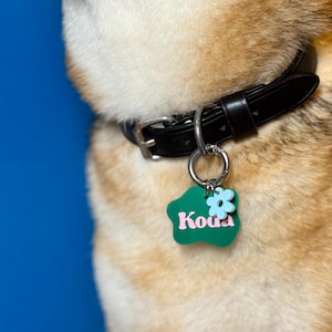 May include: A black leather dog collar with a silver metal ring holding a green pet tag. The tag has the name "Koua" in pink lettering and a light blue flower design. The tag is in the shape of a green cloud. The size is L.