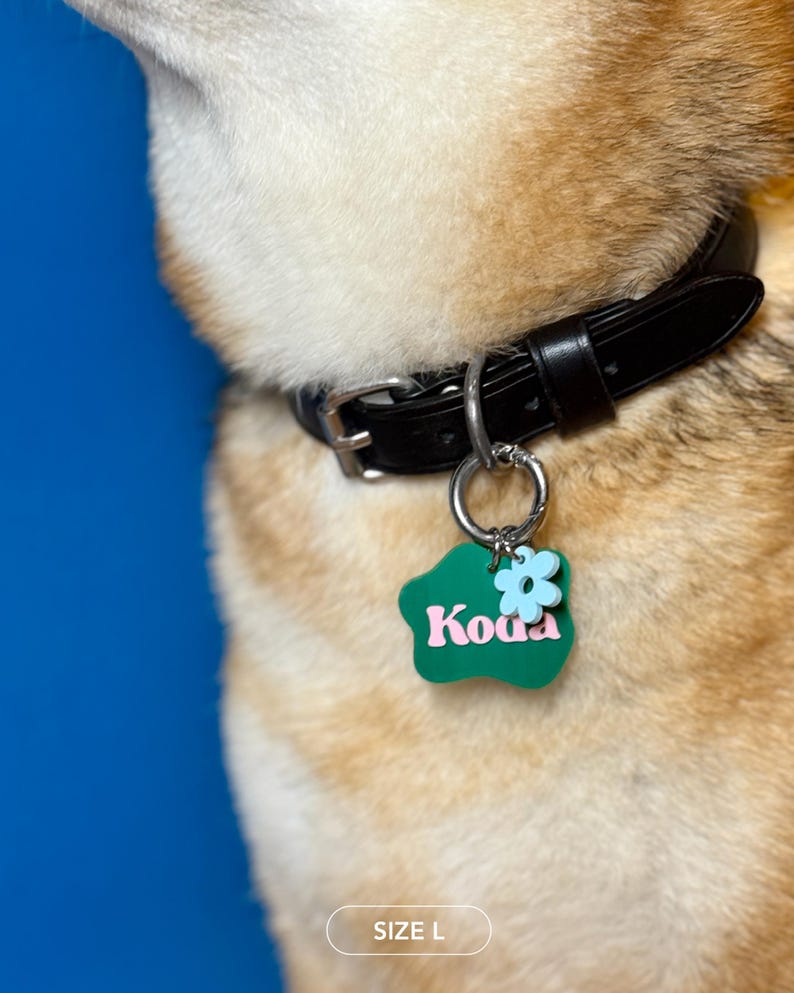 May include: A black leather dog collar with a silver metal ring holding a green pet tag. The tag has the name "Koua" in pink lettering and a light blue flower design. The tag is in the shape of a green cloud. The size is L.