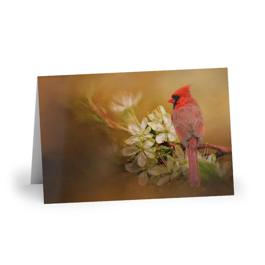 Cardinal on Blossoms Greeting Card, Remember Spring | Floral Bird Note ...