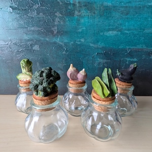 Può includere: Una collezione di cinque piccoli barattoli di vetro trasparente con tappi di sughero, ciascuno sormontato da una scultura di verdura in miniatura. Le verdure includono broccoli, lattuga, cipolle, fagiolini e una melanzana. I barattoli sono disposti su una superficie chiara.