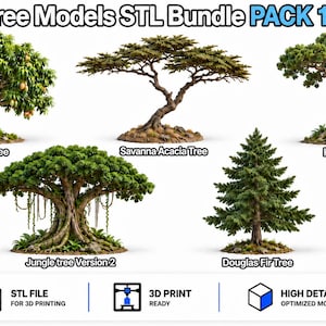 Może przedstawiać: Cyfrowa kolekcja zatytułowana Tree Models STL Bundle PACK 12 od TomlinsonPrints, zawierająca pięć różnych modeli drzew do druku 3D: drzewo mango, akację sawannową, kauri, drzewo dżungli w wersji 2 oraz daglezję zieloną.