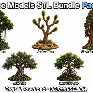 May include: A digital bundle of 5 tree models for 3D printing, labelled 5 Tree Models STL Bundle Pack 4. Includes a jungle tree, Joshua tree, giant sequoia tree, olive tree, and mangrove tree, each on a circular base. Digital download 3D print STL file.