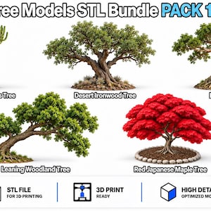 Op de afbeelding: Tree Models STL Bundle PACK 14 van TomlinsonPrints met vijf digitale 3D-modellen: een kandelaar-cactus, een woestijnijzerhoutboom, een kapokboom, een hellende bosboom en een rode Japanse esdoorn met stenen voet voor 3D-printen.