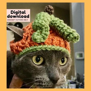 crochet pattern cat halloween costume, pumpkin hat for kitten, cat lover instant download PDF, step by step with pictures, Beginner crochet