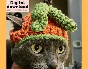 Puede incluir: Un gato gris con un gorro de calabaza de ganchillo con un tallo verde. El gorro es naranja y verde. El gato está mirando a la cámara.