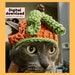 Crochet Pattern Cat Halloween Costume, Pumpkin Hat for Kitten, Cat ...