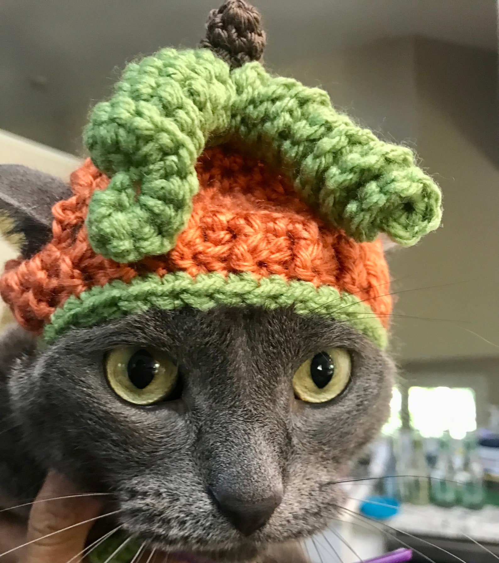 Crochet Pattern Cat Halloween Costume Pumpkin Hat for Kitten - Etsy