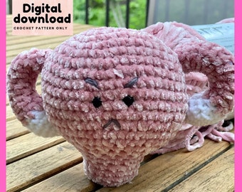 Angry uterus crochet pattern, women's rights supreme court ruling PDF, instant download, US terminology, my body my choice, women's rights