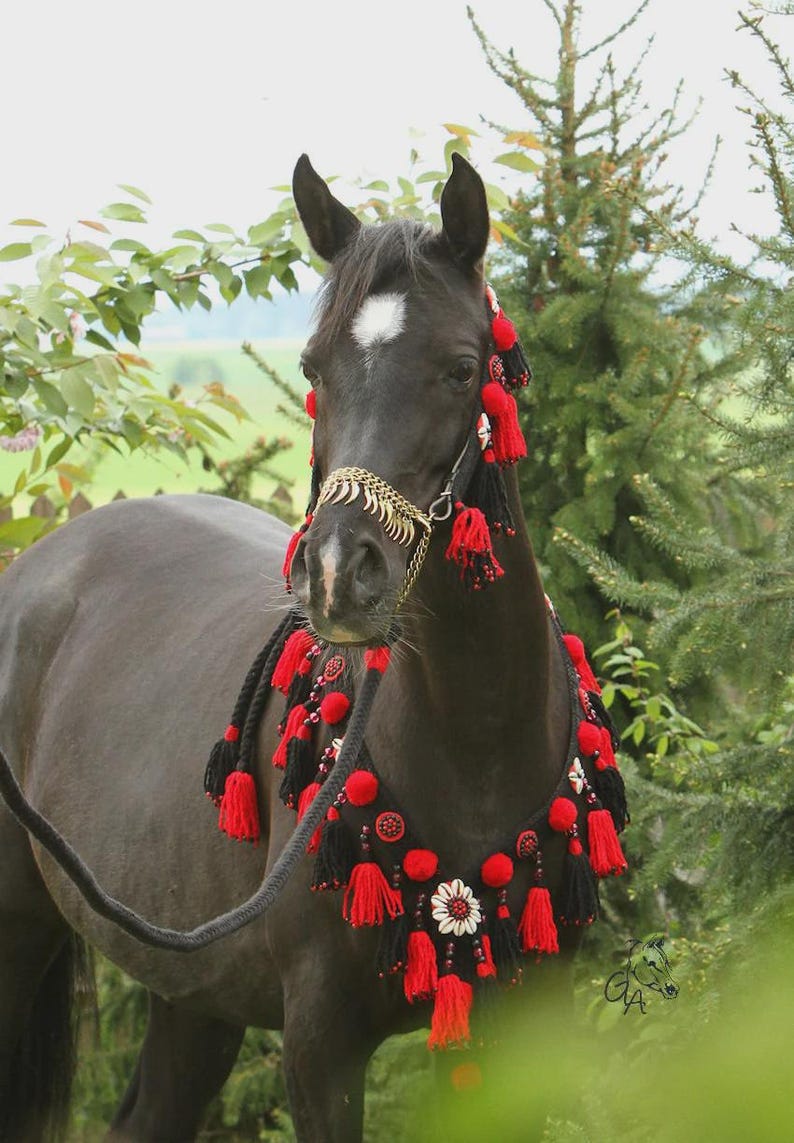 authentic-traditional-egyptian-arabian-handmade-wool-breast-collar