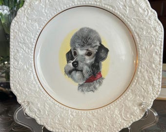 1973 Lord Nelson Pottery England Poodle Dog Plate | 8.5” Dog Portrait | Ornate Gold Trim