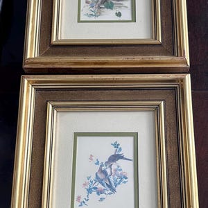 May include: Two framed bird prints. Each print shows a detailed illustration of birds on branches with flowers. The frames are gold with a brown inner border. The prints are set against a cream background, offering a classic aesthetic. The frames are gold.