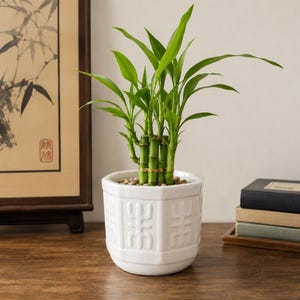 White Milk Glass Chinoiserie Planter, Mid Century Geometric Cachepot, Hollywood Regency Succulent Pot, Asian Decor