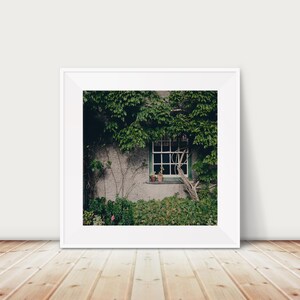 May include: A white framed photograph of a stone building with a window and green ivy growing over it. The window has a green frame and a white pane. There are two small potted plants on the windowsill.
