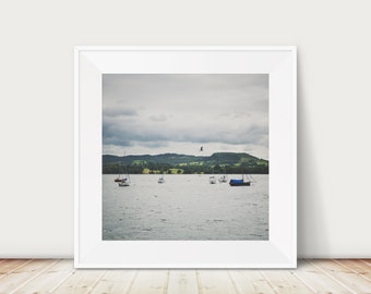 Lake Windermere photograph, Lake District print, Ambleside photograph, North West England print, boat photograph, bird in flight