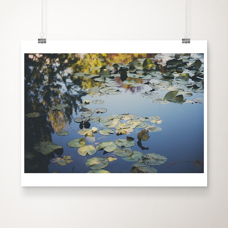 Giverny photograph, Monets garden print, yellow lily print, lily pond photograph, France photograph, French decor image 1