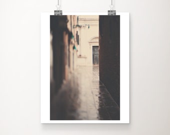 SALE Venice photograph, vertical Venice print, travel photography, Venice decor, green door print, discounted 8x10 print