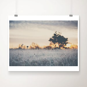 winter photograph, frost print, sunrise photograph, tree print, silver home decor, wilderness art, English decor, farmhouse decor