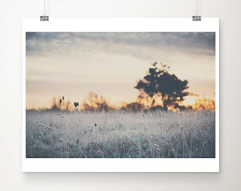 Frosty Sunrise Tree Photograph, Suffolk England, Winter Decor
