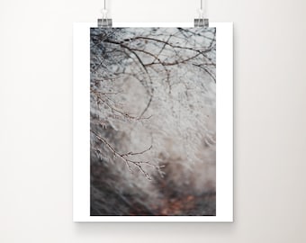 May include: A framed print featuring a close-up of tree branches covered in frost. The branches are in the foreground, with a blurred background of more frosted branches and a hint of brown leaves. The image is mounted on white paper.