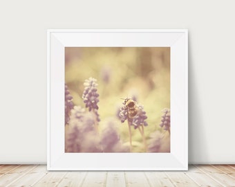 bumble bee photograph, insect print, purple flower wall art, animal photography, english garden print