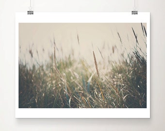 Beach Grass Photograph, Nature print, Botanical wall art, Coastal Wall Art, beach house decor