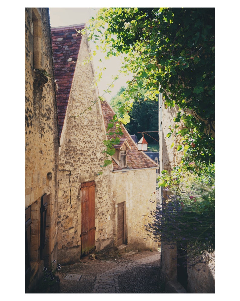 May include: A narrow, cobblestone street in a European village. The street is lined with old stone buildings, one of which has a red door. The buildings are covered in vines and flowers.