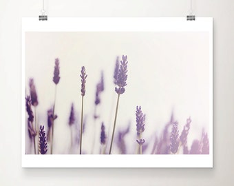 Lavender Field Photograph: Purple Flower Botanical Art Print