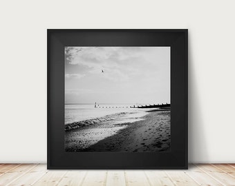 black and white beach photography, ocean print, English coastal photograph, Southwold print, bird photography, aerial beach print