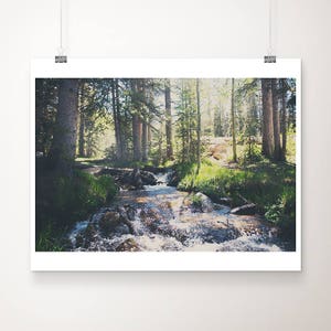 Santa Fe National Forest Print: New Mexico Mountain Stream Photography