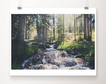 New Mexico photograph, Santa Fe National Forest print, mountains photograph, woodland decor, Southwest decor