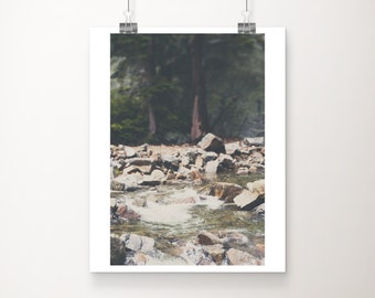 Lake Tahoe photograph, Eagle Falls print, river photograph, tree print, nature photography, vertical California print, wilderness art