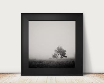 black and white tree photograph, winter fog print, nature photography, large wall art, minimalist print, rustic decor