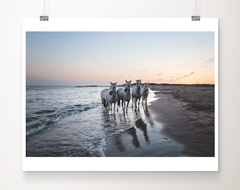 horse photograph, Camargue Horses at sunset print, Camargue print, equine photograph, wild horse print, horse portrait, horses on the beach