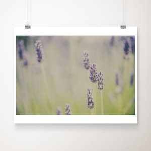 Lavendelfeld Fotografie, lila Blumen Druck, Wildblumen Kunst, lila Wohnkultur Bild 1