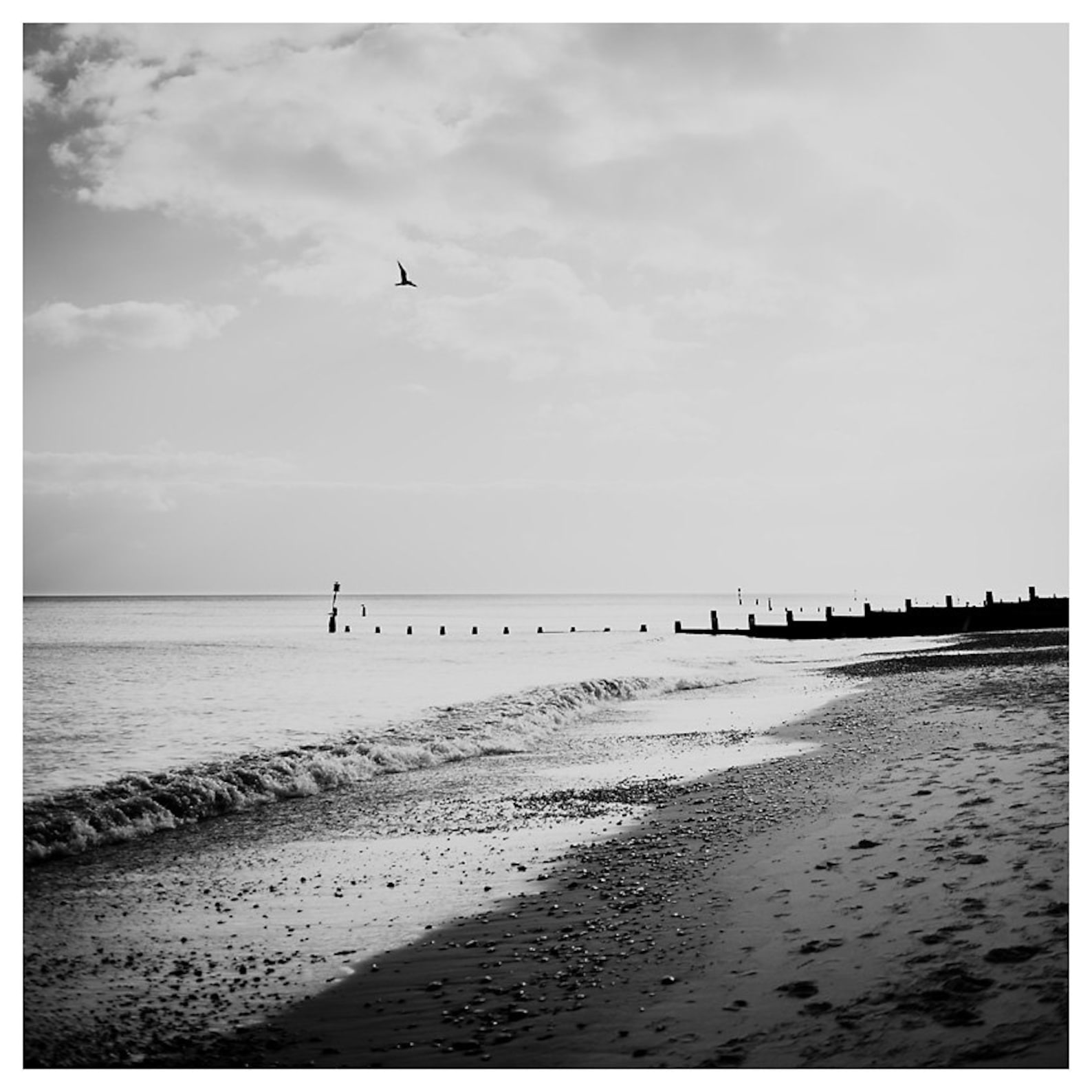 Black and White Beach Photography Ocean Print English - Etsy