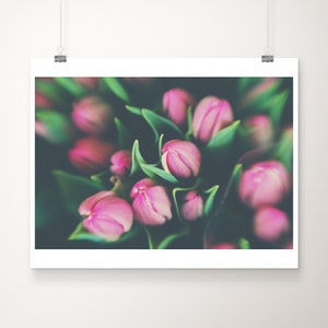 pink tulip photograph, pink flower print, Covent Garden print, London print, botanical print, floral decor, pink tulip print, London decor