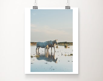 Horse photograph, horses in water print, Camargue horse art, equine photograph, wild horse print, white horse art, horse reflection print