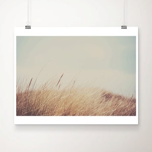 beach grass photograph, nature photography, beach photography, botanical print, English coastline, large wall art
