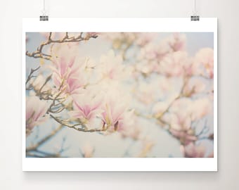 pink magnolia tree photograph, magnolia print, pink flower art, pastel home decor, botanical wall art
